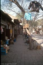 China (145 von 257).jpg